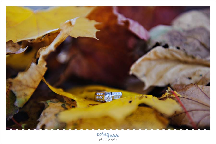 engagement ring in leaves in ohio