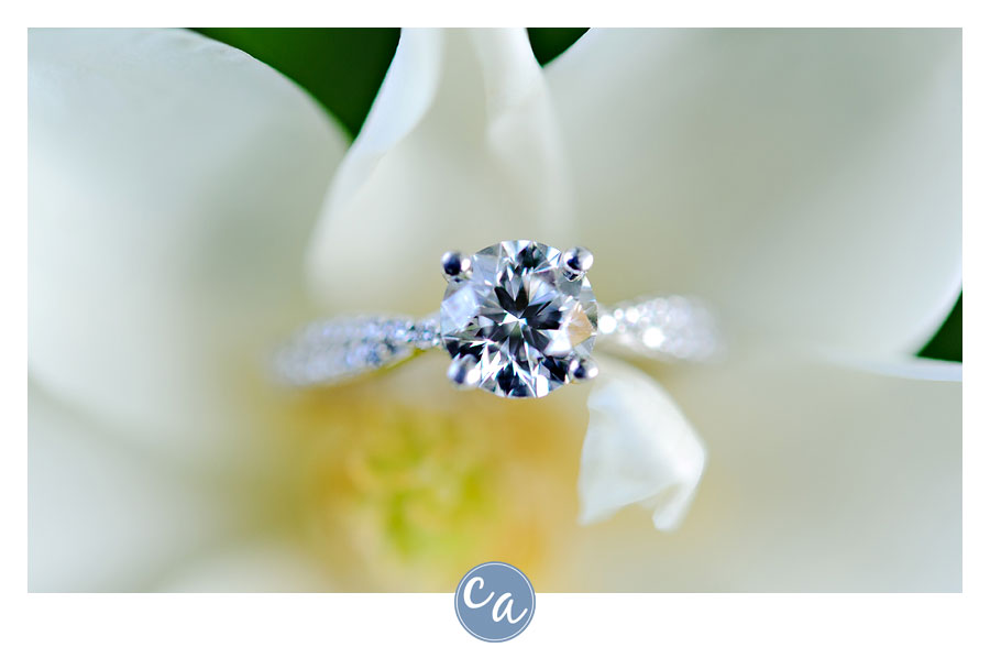 engagement session at john carroll university in ohio