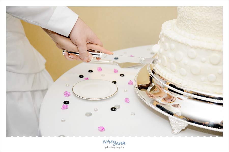cutting the cake at shady hollow country club in Ohio