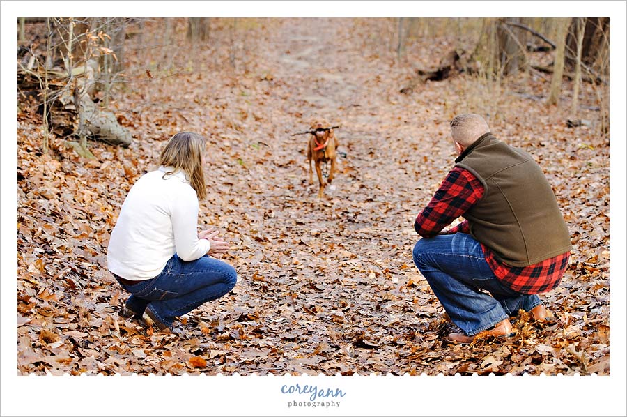 dog playing in quail hollow state park in hartville ohio