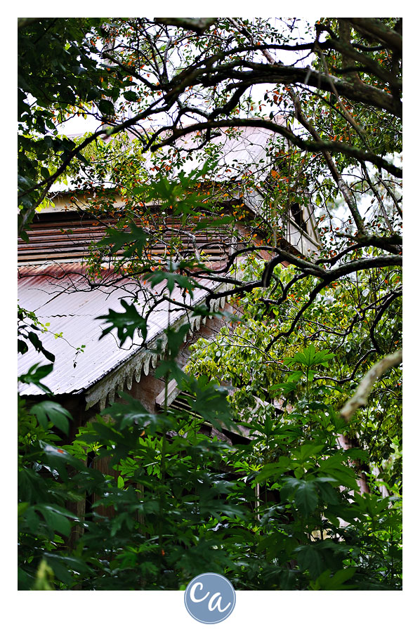 Germania Plantation