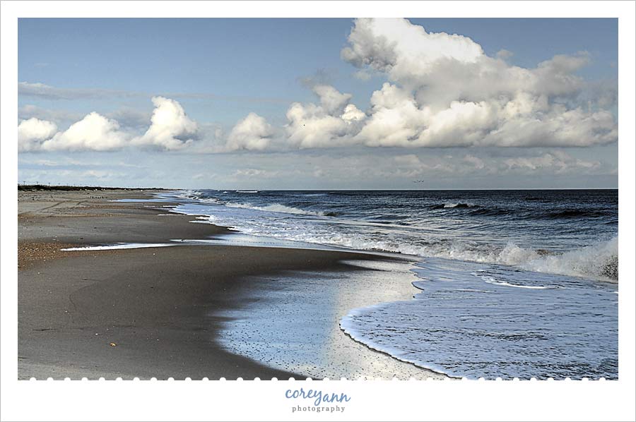 ocracoke beach in the outer banks of north carolina