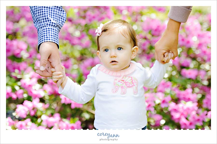 Family Portrait Session at Fellows Riverside Gardens oen year old standing by flowering bushes in youngstown ohio