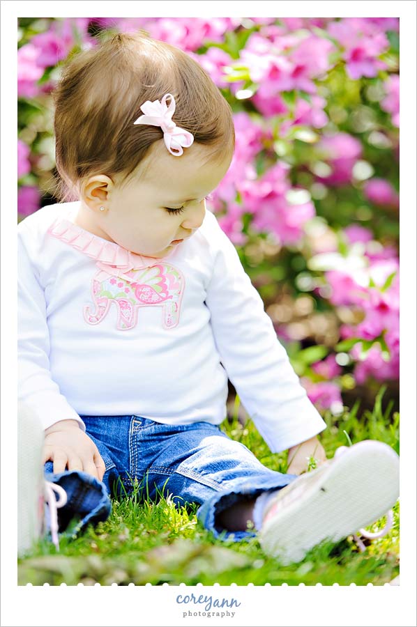 Family Portrait Session at Fellows Riverside Gardens one year old child sitting near a flowering rhododendron at fellows riverside gardens