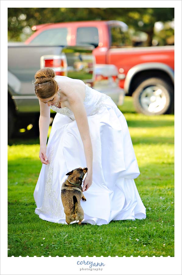bride playing with dog in her wedding dress