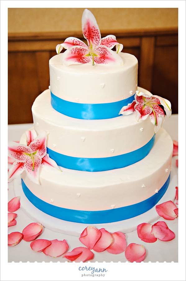 pink and blue cake in dover ohio