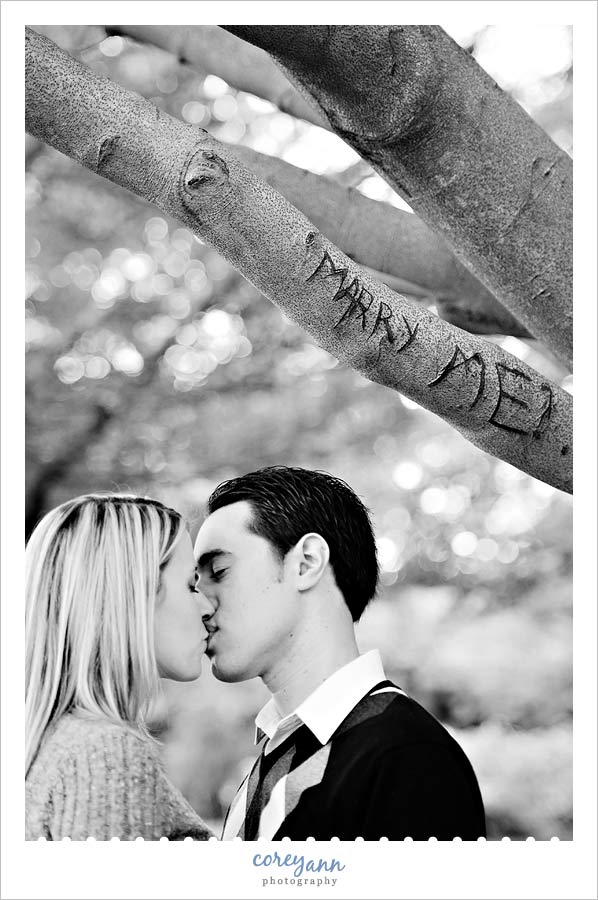 tree with marry me in engagement session at mill run metropark in youngstown
