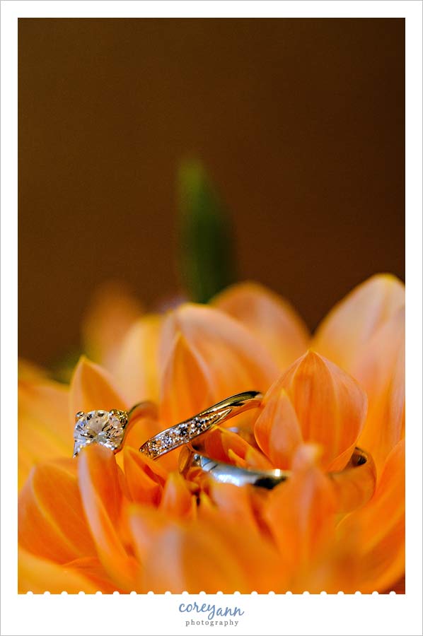 wedding rings on orange flower