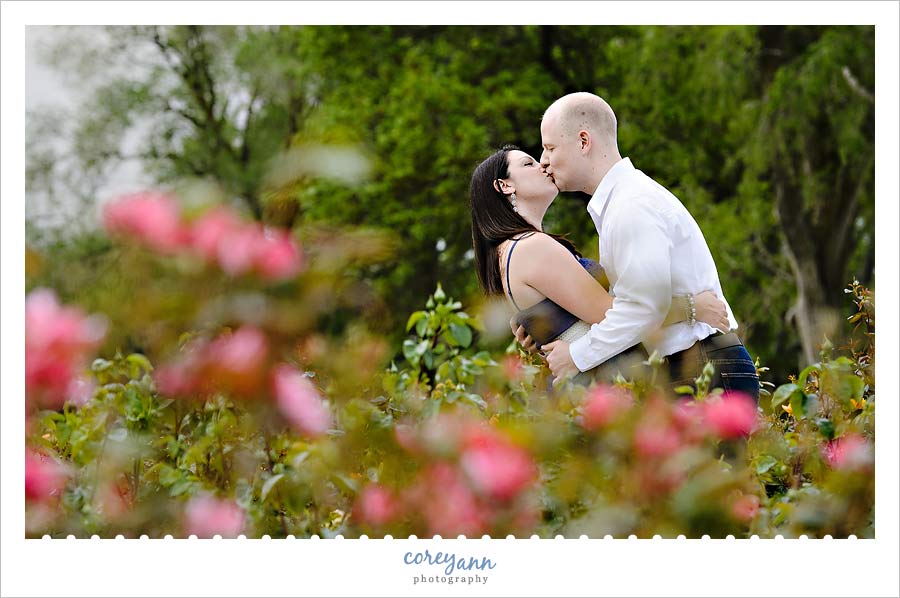 engagement picture in a rose garden in lorain ohio