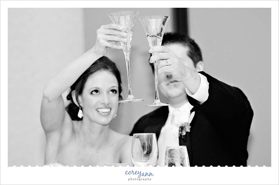 bride and groom toasting at the reception