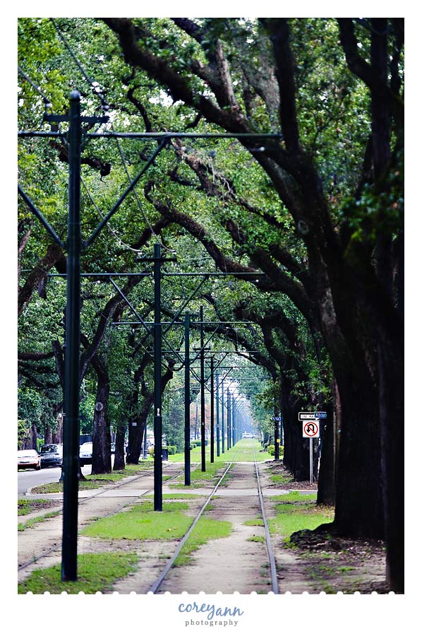 Streetcar line on St Charles in New Orleans